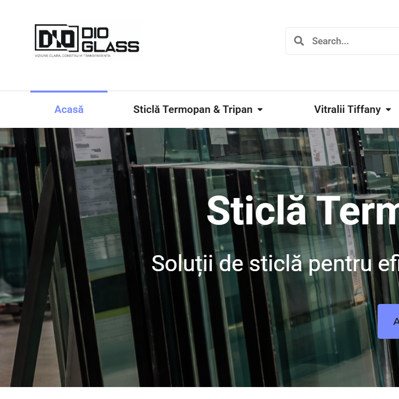 Studiu de caz: DioGlass.ro – STRUCTURARE DIGITALĂ ȘI GENERARE DE LEADURI